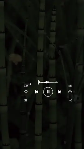 #reinadepapi #romeosantos #bachata#musica #rolitas #musically #parati #tiktok 