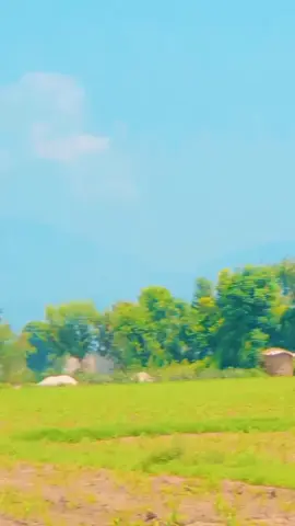 de somre hole hke mazegar de hasta kar de ❤️🥰💚