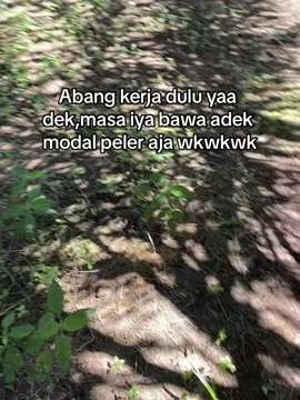 #sawit #sawitontiktok #storywa #petanimuda #sawitbalap #kelapasawit #kebunsawit #tokesawitmuda #kalimatanbarat #sawitkalimantan #fyppppppppppppppppppppppp 