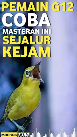 MASTERAN PLECI MATERI SEJALUR KEJAM UNTUK G12 ____________________________ Sekali lagi markas tjm berbagi masteran pleci g12 dengan tembakan sejalur yg kejam,  dan mempunyai speed rapat supaya burung kita terdengar menonjol saat di gantangkan dan dilombakan,  selamat mencoba semoga bermanfaat,  untuk video panjangnya bisa cek di channel YouTube markas tjm tag : #pleci #plecit #master #masteranpleci #masteranburung #masteranplecigacor #masteranplecingewitwit #masteranjuara #masteranplecinembak #masteranpleciterbaik #masteranpleciterbaru #masteranpleci2024 #masteranplecig12 #masteranplecinembakspeed  #masteranplecitembakan #masteranplecitembakansejalur #masteranplecivariasi #masteransogokontong #masteransogon #masteransogonnembak #sogonnembakmateri #plecinembakpanjang #plecinembaksejalur #plecinembakwitwit #plecinembakvariasi #plecitembakanmewah #plecitembakanunik  #plecimania #plecimaniaindonesia  #pcmi #pcmiindonesia  #following #follower  #viral #viralvideo #viraltiktok  #trend #trending #trendingvideo #trendingsong #trendingtiktok  #fyp #fypシ #fypシ゚viral #fypage #fyppppppppppppppppppppppp  #fypdongggggggg #fyplease #fypplecit #fyppleci #fypburung #fyf #foryoufeed #foryoupage 