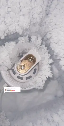Replying to @huynnngc2 #fyp #fyp #icechunks #freezerfrost #freezerfrostscraping #freezerfrosteating #frosteating #icelover #iceeating #iceasmr #ice #crunchyasmr #crushedice 