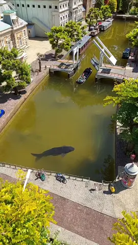 #madurodam #denhaag #Netherlands 