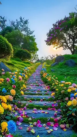 #beatefullscenery#autumn#nature#scenery#relax 