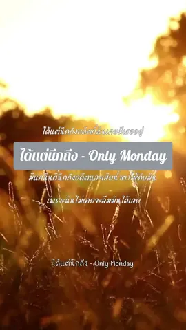 #ได้แต่นึกถึง #onlymonday #เนื้อเพลงความหมายดี #sensiblelyric
