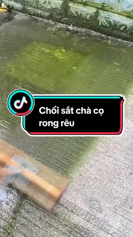 Chổi sắt mạ đồng chà cọ rong rêu, ố vàng trên sàn nhà, nền xi măng. #choisatchareu #choisatsanvuon #choichacorongreu #choisat #choicharongreu #tayrongreu 