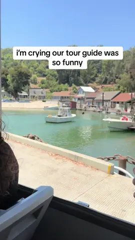 poor david #fypシ゚viral #themepark #universalstudios #Lifestyle #california @Universal Destinations 