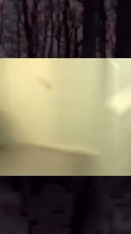 #paranormal #scary #spooky #horror #creepy #viral #scaryvideos #ghost #skinwalker #skinwalker #ghosts #ghostmode #thebonehead #spookyseason #creepytok #shocking 