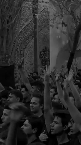 جروحنه تقره الجروحج الفاتحه زغيره عله روحج  #باسم_الكربلائي  #لاتبجين  #الفاتحه_زغيره  #حسينيات_باسميات_كربلاء_العشق_الحسيني 