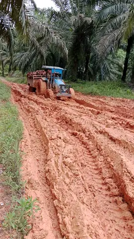 main lumpur boskuu ...PTO q mainkan di saat musim hujan