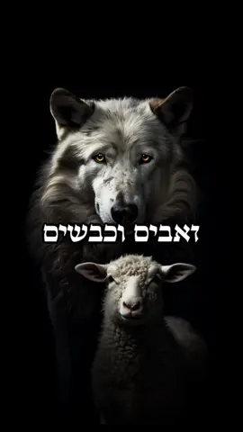 תקשיבו למי שאוהב אתכם 🐾 עקבו אחרינו לסרטונים יומיים ❤️ #מוטיבציה #מוטיבציהלחיים #השראה #משפחה #פוריוישראל #פוריוווו #פוריוו #fyp #העצמה 