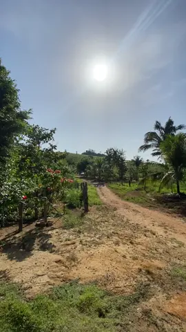 Bom dia 🏡🌾 #sertanejo #eduardocosta #enamorado #modao #musicasertaneja #statusparawhatsapp #tipografiasmusicas #tipografia #fazenda #vidanaroça #vidanocampo #agro #paisagem #felicidade #paixão #paz #interior @Eduardo Costa 