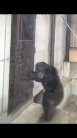 حسابي رياكشنات من غير كتابهه 🌊💙#explore #fypシ #comment #following #reaction #رياكشن_بدون_كتابه #reactionvideo 