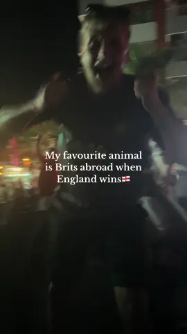 🏴󠁧󠁢󠁥󠁮󠁧󠁿  #myfavouriteanimal #itscominghome #euros #england #football #holiday #foryou #fyppppppppppppppppppppppp 