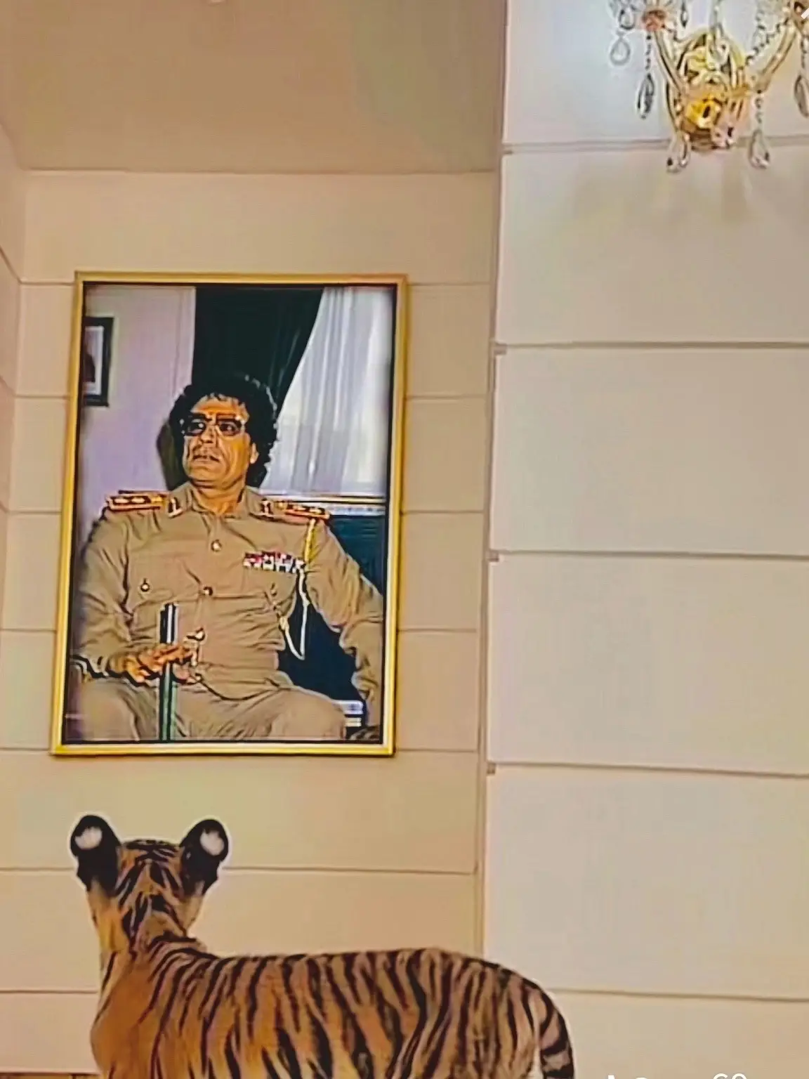 ﮼القذافي💚✊🏻.#الفاتح_ابدا #معمر_القذافي_ضمير_العالم #ليبيا_معمر_القذافي_تاريخ_عظيم #زليتن_ليبيا_زليتن_وأحلى_زليتن #زليتن_ليبيا_زليتن_وأحلى_زليتن🔥✈️ 