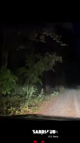 Hoia baciu forest 📍Romania #scary #horror #foryou 