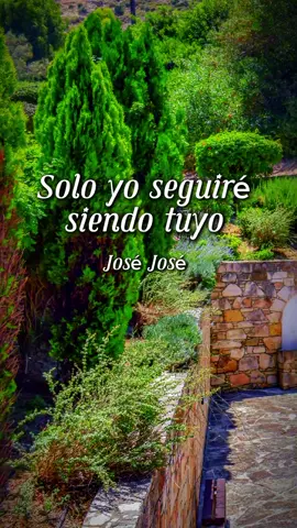 Solo yo seguiré siendo tuyo - José José #musicaparati #musicaromanticas #exitosinolvidables #lamusicadericardo 