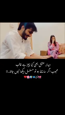 ❤️🌍🌸🥰#foryou #foryoupage #fypシ #trending #viral #couplegoals #jahanfanwahanstadium #nadan_dil♡ 