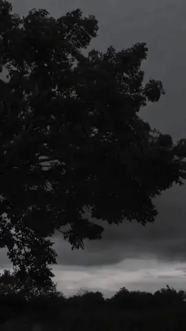 Dark vibes carol of the bells 🥀🎧 #nature #aesthetic #darkaesthetic #vibes #calm #song #dark #edit #real #fyp #foryou #foryoupage #paratiiiiiiiiiiiiiiiiiiiiiiiiiiiiiii 