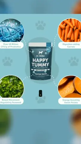 Dr. Shiba Pro Immune x 1 Happy Tummy  Taster Pack x 1 - Beef 40g Healthy Dog Treats Dog Essentials Dog Vitamins, Dog Probiotics Appetite Booster For Dogs Boosts Immunity and Supports Digestive Health Ensures Your Pet's Wellness and Happiness 