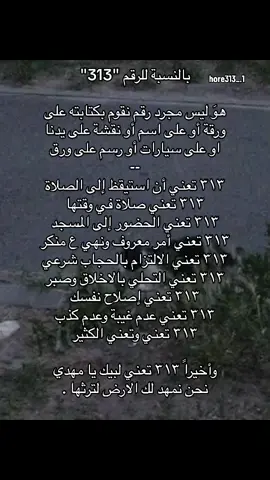 ونطيت معنى ٣١٣ شتردون بعد؟#حوراء_شيعية #جيش_حوراء #حوراء_الورد_ضد_الحرارة_والبرد_👍🏻 