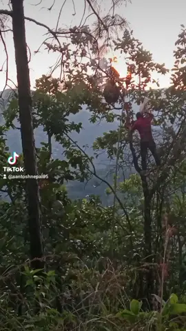 suru vyo hoe Sathi haru ...