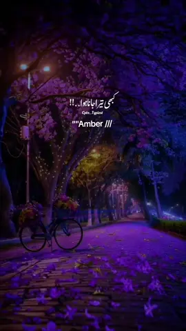 This is for you Amber ❤️😩😣 #hyeeeee________✨🖤🌚🔥👀 #hyee_ya_lines🥀💔😞 #potry_lovers🥀🍂 #seemab #amber #foryou#foryoupage❤️❤️ #layrics_songs 