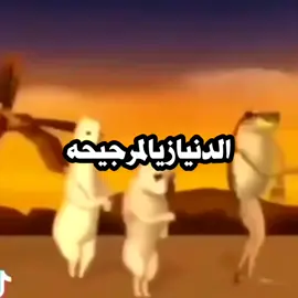 #foryou #fyp #fypシ゚viral #اكسبلوررررر #CapCut #الشعب_الصيني_ماله_حل😂😂 #trending #viral 