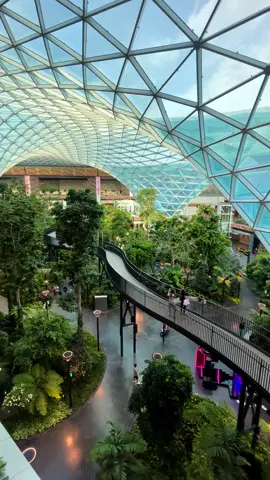 Doha Airport in Qatar   #doha #qatar #airport #dohagarden #qatarairways 