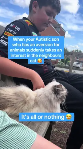 The joys of Autism, you just never know whats coming next 😊😆 #autism #sen #allornothing #sensory #mumsoftiktok #animals #fyp 
