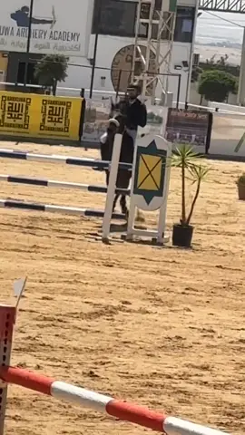 #fyp #خيول #horsesoftiktok #horses 