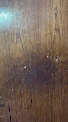 مرتي اتريد اتروح بيت اهله لن عدهم ملايه ومنعته من روحه بسبب مكياجه وغير محتشمه لمجلس ابو عبدالله شوفو مرتي شحجت لبويه شوفو شصار كملو مشهد لاخير