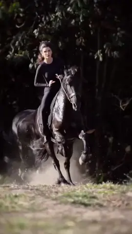 #الخيل_من_خيالها #خيل_وخياله🐎 #horsegirl #خيل_عربي_اصيل #arabianhorse 