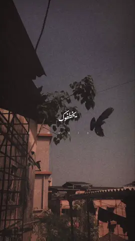ناس بترتحلك سعات #ماهر_زين #تصميم #foryou #drmusic7 