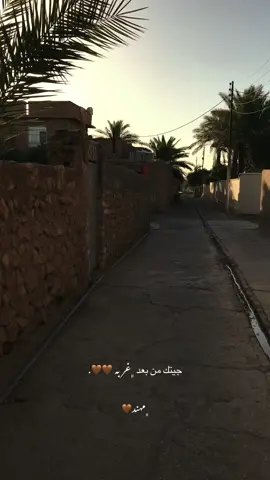 ﮼اجيت بليله گمريه 🤎.#تصوير #تصويري #explore #fyp #حديثه_الانبار #اكسبلور #capcut #الشعب_الصيني_ماله_حل😂😂 