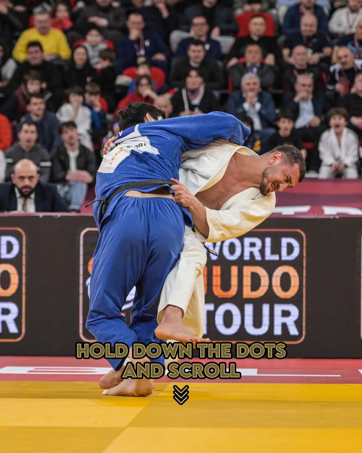 #JudoTV #Judo #Georgia #Sports #Photography #Sequence @Aleko22 