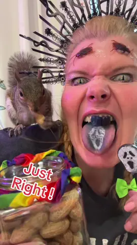 #SweetTooth #Medusa #Squirrel #SquirrelWhisper #CynthiaBeaumont #TattooLollipop #BlueTongue #Wildlife #Pet 