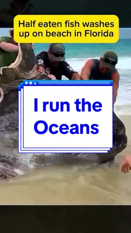 I run the oceans @Psychopoly #comedу #laugh #haha #viral #jokes 