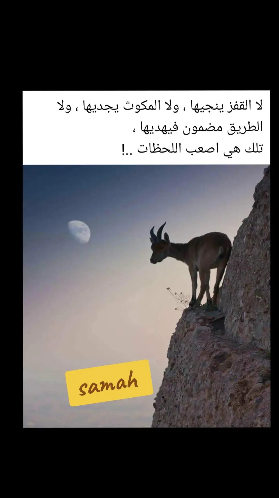 @🇪🇬Samah❤️🇪🇬 @totaya039 #ام_كلثوم #محمد_عبد_الوهاب #اغدا_القاك #بليغ_حمدي #اغاني_قديمه_الزمن_الجميل #اغاني_ام_كلثوم #اغاني_طرب #اغاني_التسعينات #لا_القفز_يُنجيها_ولا_البقاء_يُجديها #اقتباسات_عبارات_خواطر  #هذه_الدنيا_كتاب_أنت_فيه_الفكر #كلام_من_القلب #InspirationByWords #خواطر_للعقول_الراقية #مشاعرمبعثره #كلمات_حزينة #اغاني_زمان #زمن_الفن_الجميل #مجرد________ذووووووق🎶🎵💞 #viral #capcut #foryou #fyp #explore #اكسبلور #الاردن🇯🇴 #لبنان #السعودية #قطر #طربيات #اغاني_حب 