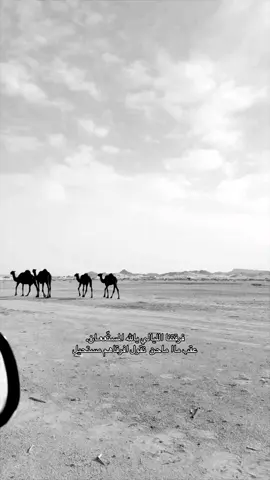 #fyp #capcut #viral #مسحوب #منكوس 