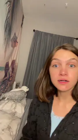 im not prepared #stuffedanimals 