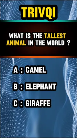 Comment your score. #quiz #quiztime #usaquiz #trivia #triviaquiz #anatomy #usa_tiktok @Quiz Let 
