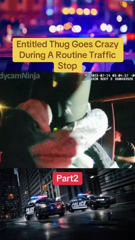 #cops #copsoftiktok #police #ypfッ #foryou 