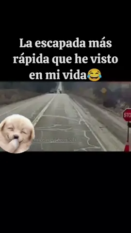 la escapada más rápida que he visto 😅😅 #misionimposible #correlegordo 