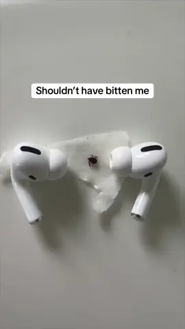 Should i release this next? Y/n?  #newmusic #foryoupage #tick 