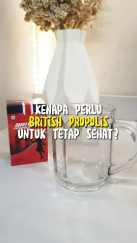 #britishpropolis #propolis #fyp #jagaimunitastubuh 