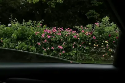 سورة الكهف | 1 - 2 | القارئ #هزاع_البلوشي #قران #اكتب_شي_توجر_عليه #qruan #foryou #يوم_الجمعه 