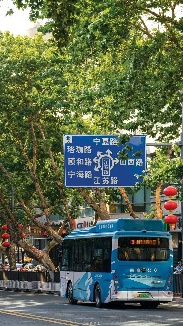 tôi thật sự rất mê cảnh đẹp trùng Khánh Trung Quốc 😊💐🇨🇳#trungkhanhtrungquoc✈️🇨🇳 #thanhphotrungkhanh🚠 #cogangmoingay💪 #hongnhaidong #trungkhanh🌻 #daihoctrungkhanh_chongqingtaxue_重庆大学 #daihoctrungkhanhdoitoi❤️ #chongqinguniversity💗🇨🇳💞 #trungquoc🇨🇳 #odaycodongluchoctap📚🌷 #trungquocdailuc🇨🇳🇨🇳🇨🇳 #chongqing_taxue_重庆大学💒✨✈️ #重庆大学🍀🇨🇳 #重庆✨🌷 #梨宝陈🌻 #chongqing_taxue_重庆大学 #xuhuongtiktok #chongqing_taxue_重庆大学💒✨✈️ 