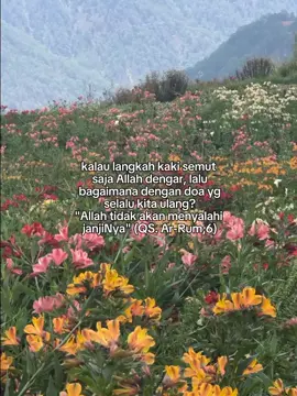 Allah pasti tepati janjinya✨🤍🥀