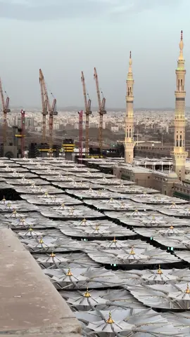 #madinah #makkah #المدينه_المنوره 