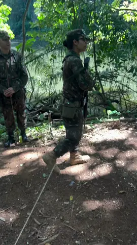 instrução de armadilhas na selva: armadilha com estacas aérea.